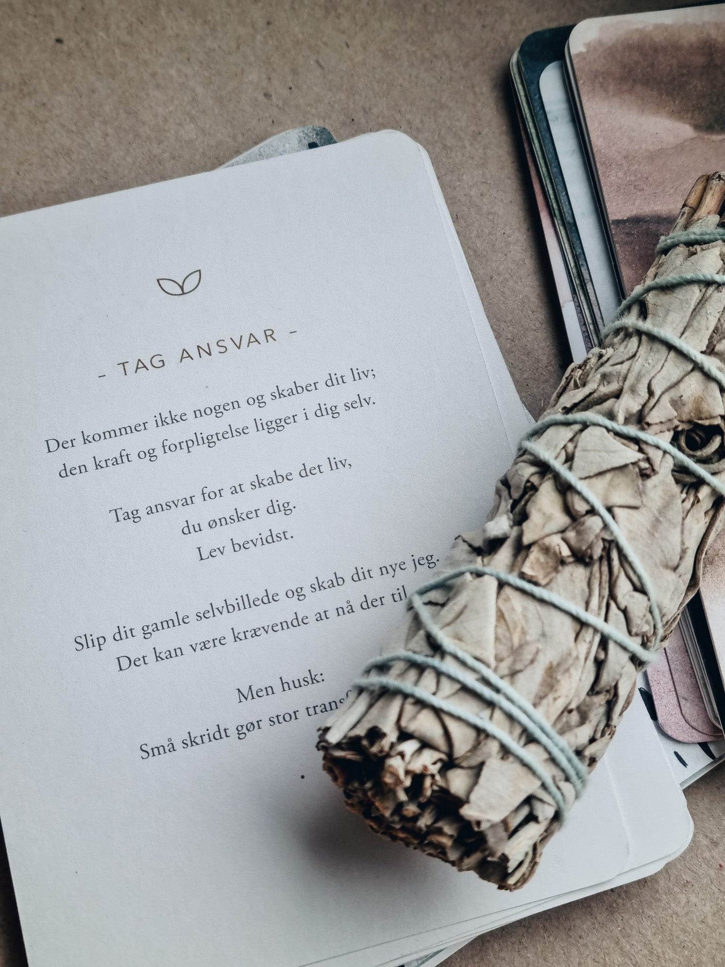Hvid Salvie - 2 stk -
