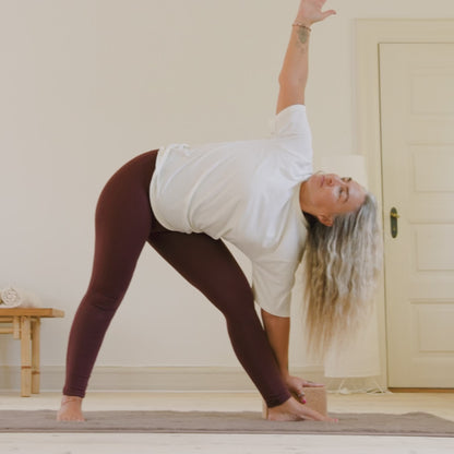 Sustain Cork Yoga Block -